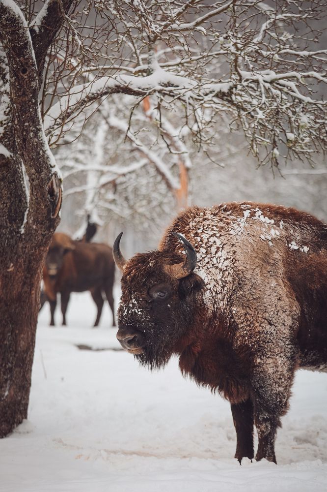 Photograph by Светлана Солдатченкова