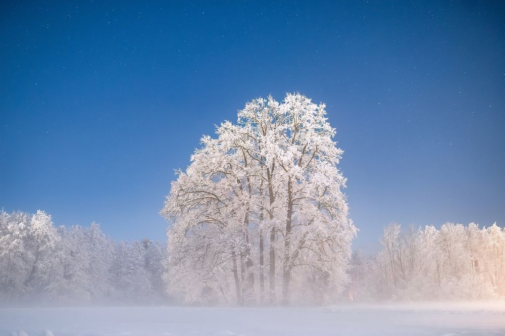 Фотография автора Liviu Ciprian Hiticas