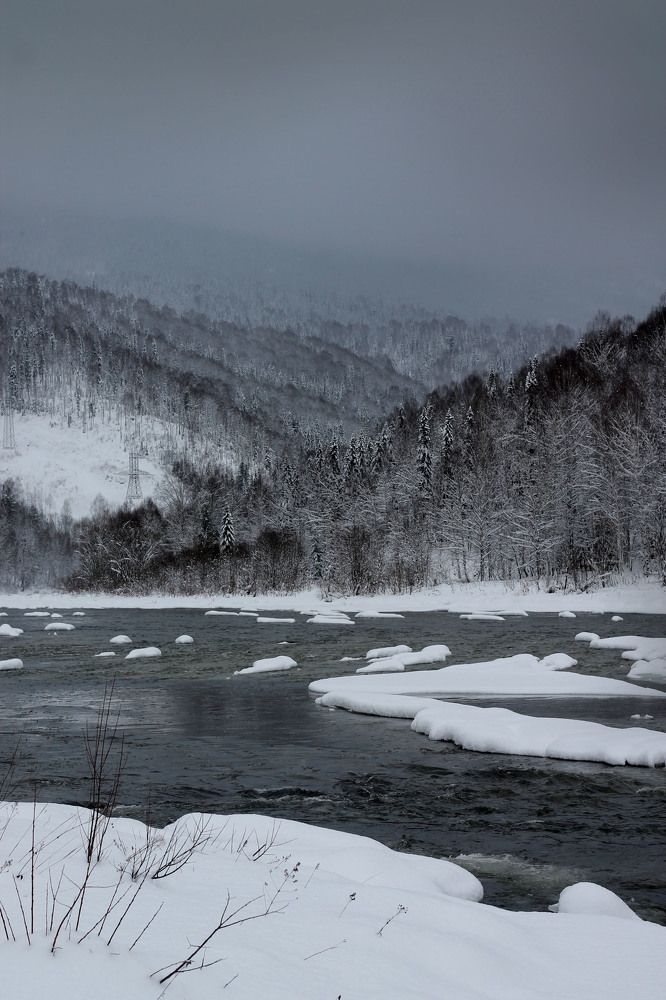 Фотография автора Любовь Харина