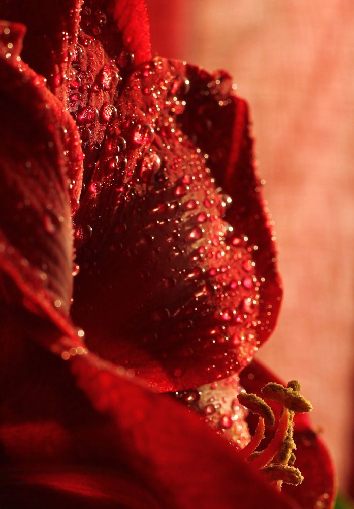 Фотография автора Любовь Харина