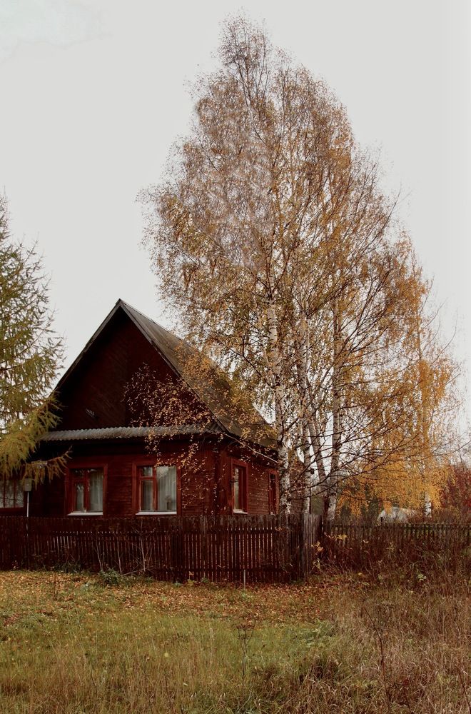 Photograph by Гуляева Светлана