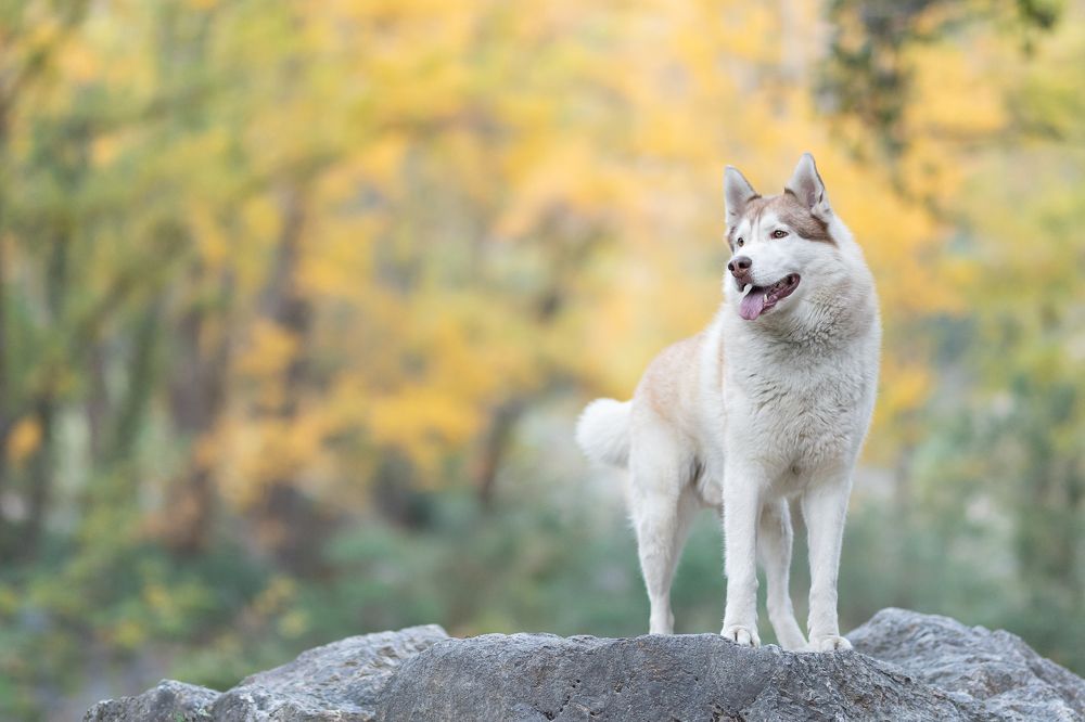 Photograph by Natalia Hidalgo