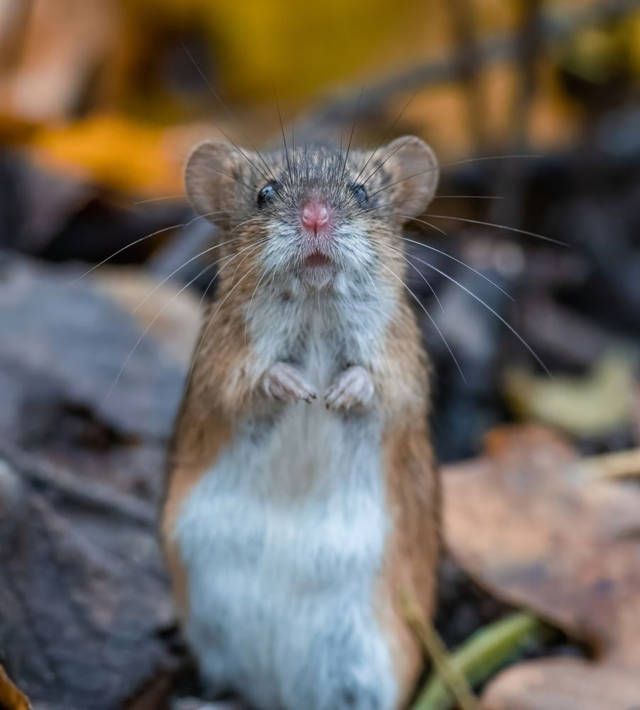 Photograph by Дэм Константин