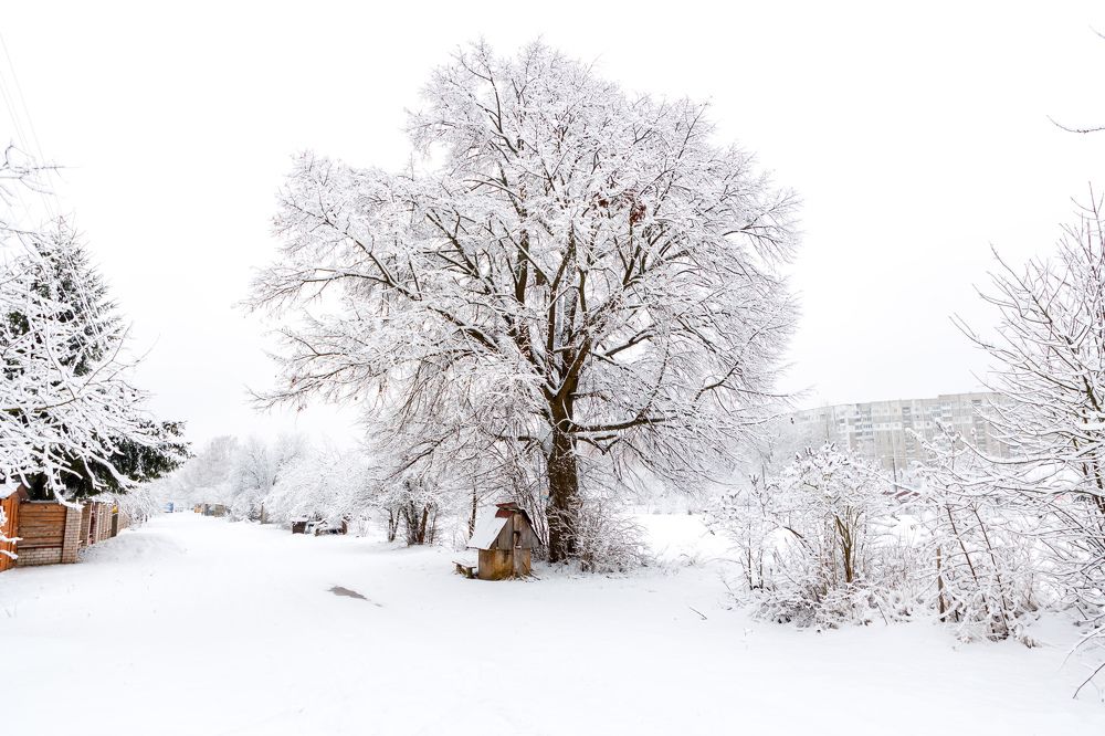 Фотография автора Viktor Orlov
