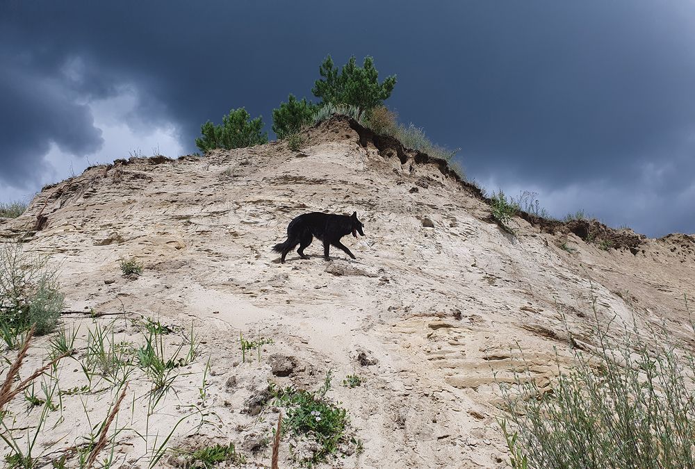 Фотография автора Надежда Лисицына