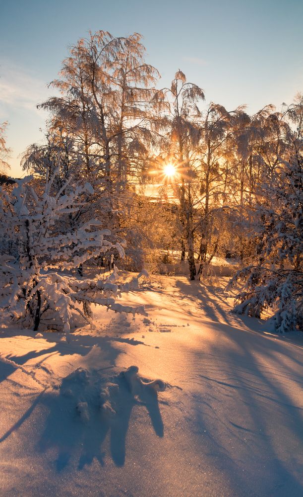 Photograph by Vania Tonova