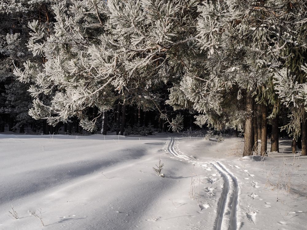 Photograph by Сергей Гаврилов