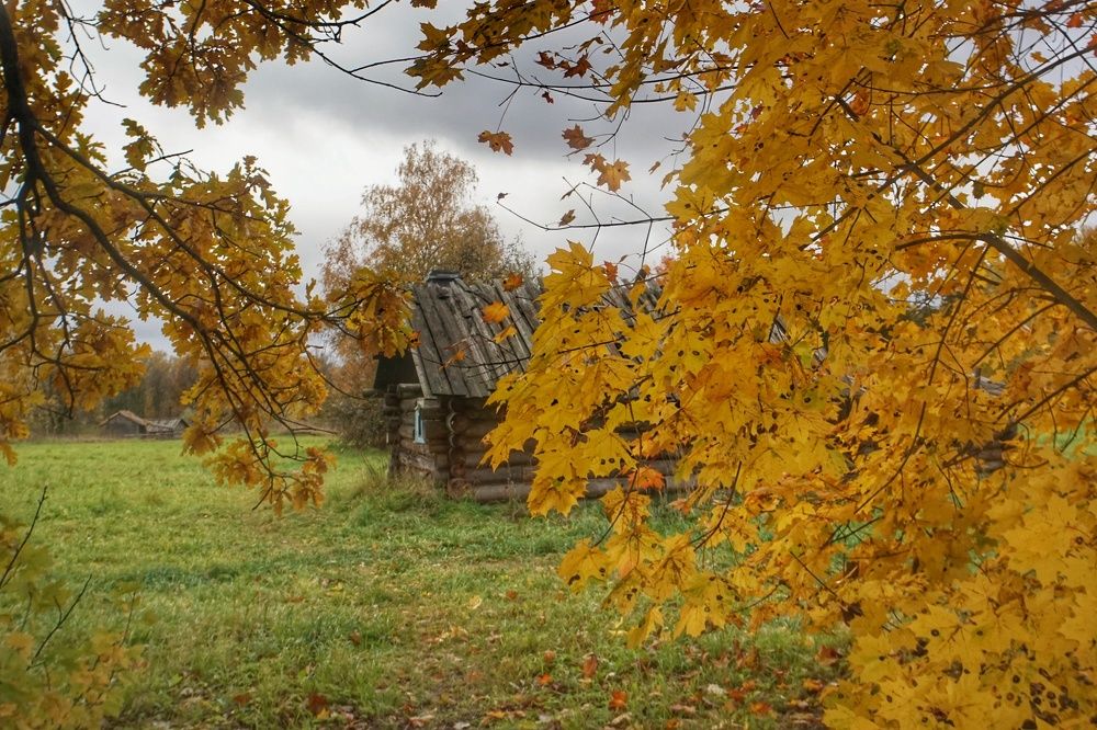 Photograph by Сергей Гуляев