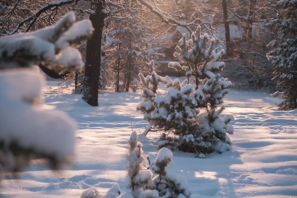 Photograph by Сергей Немцев