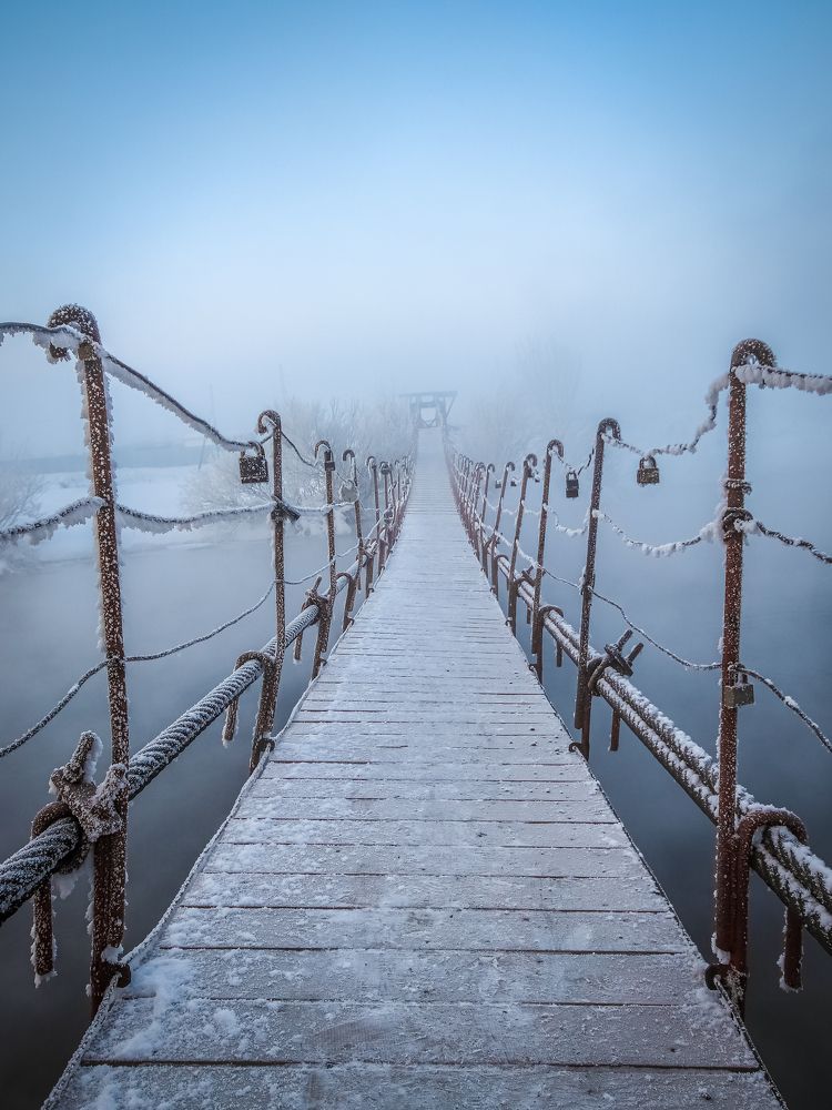 Фотография автора 