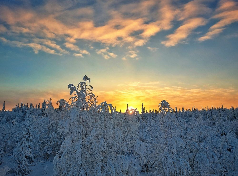 Photograph by Александр Бакин