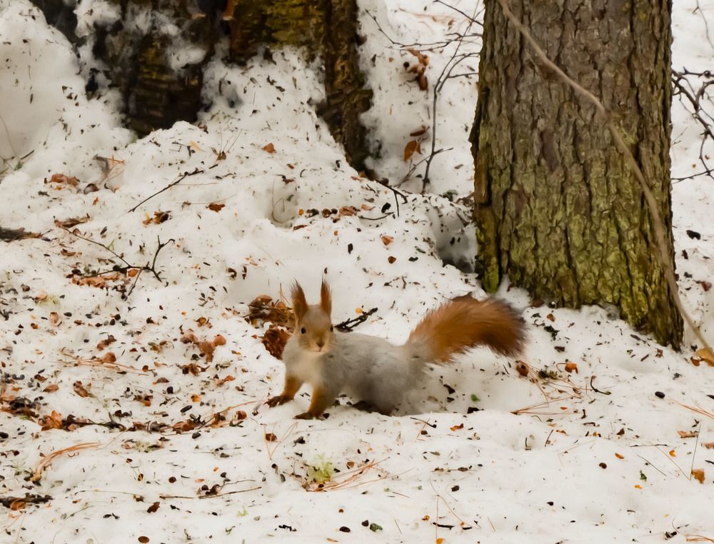 Photograph by Анна Морозова