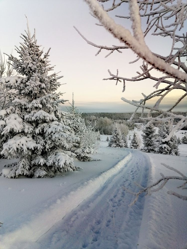 Photograph by Татьяна Бешенкина