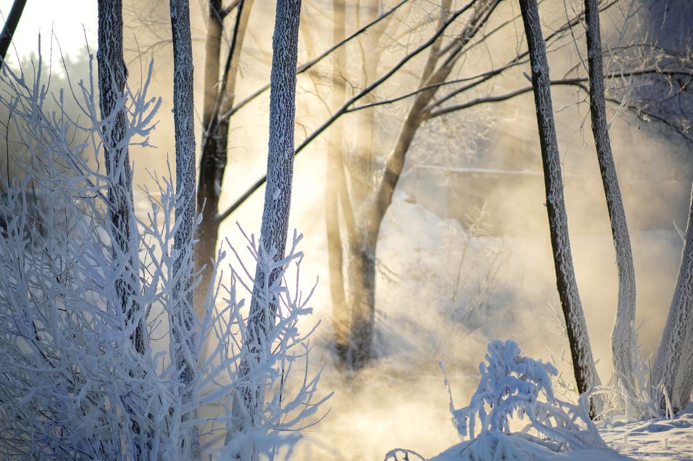 Photograph by Ольга Крестьянинова