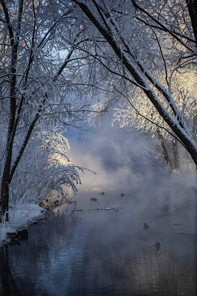 Photograph by Ольга Крестьянинова