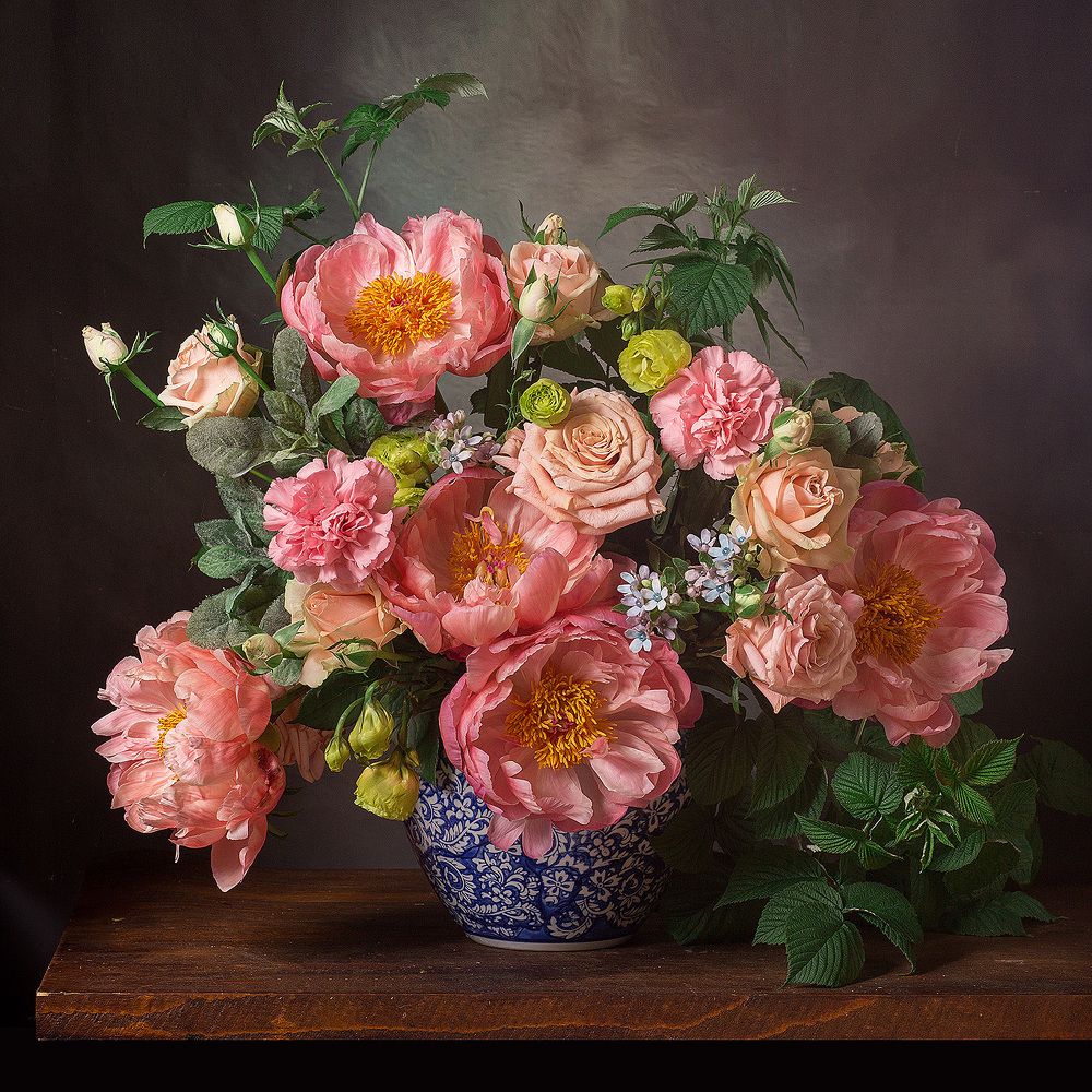 Фотография автора Алина Ланкина