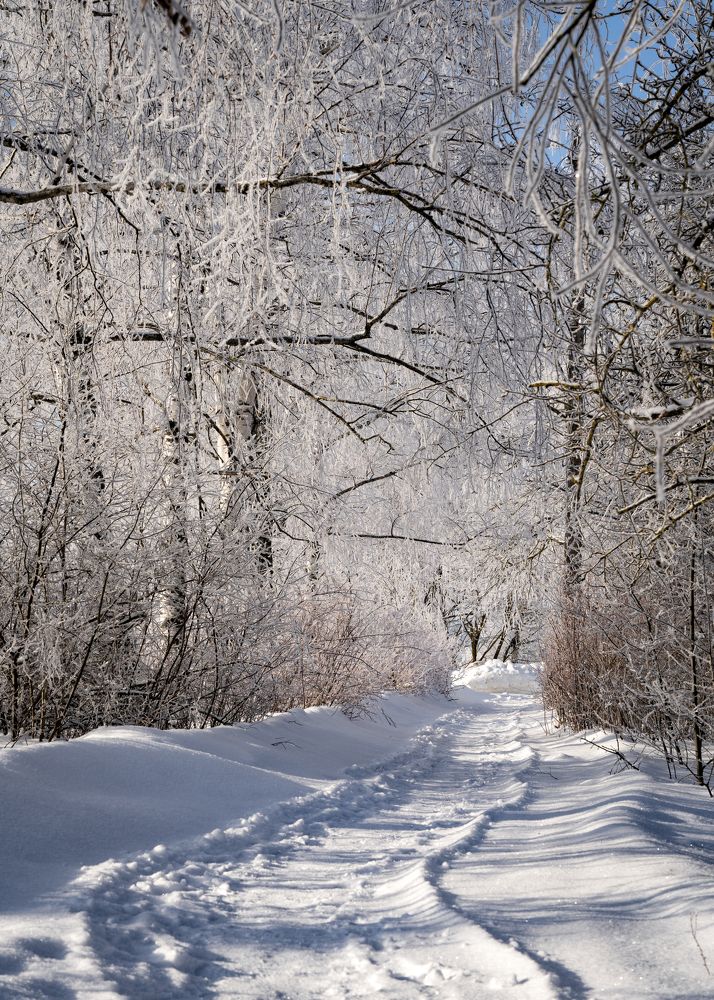 Photograph by Иван Мосьянов