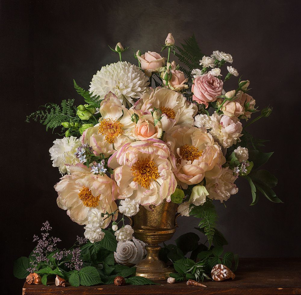 Фотография автора Алина Ланкина