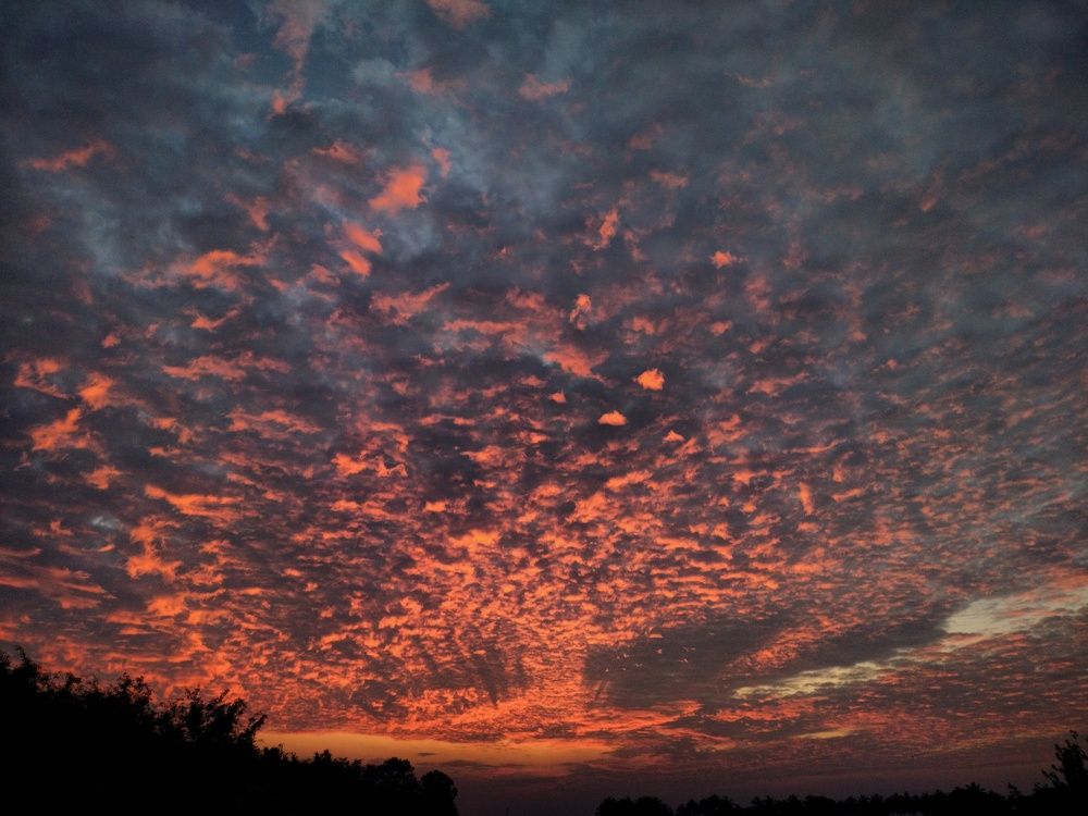 Photo #10171194