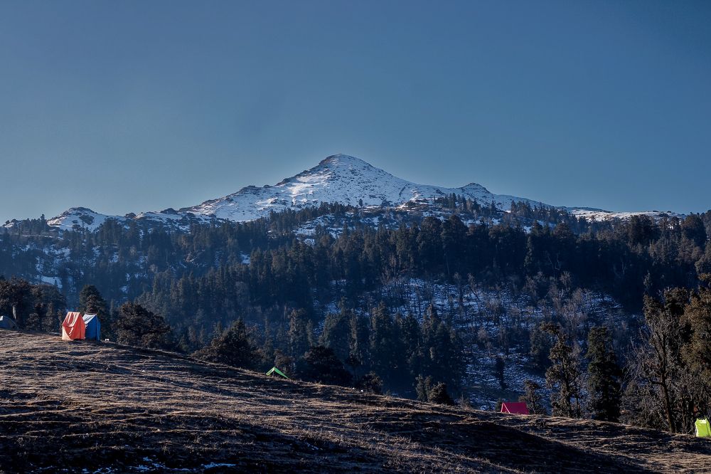 Nature under the snow