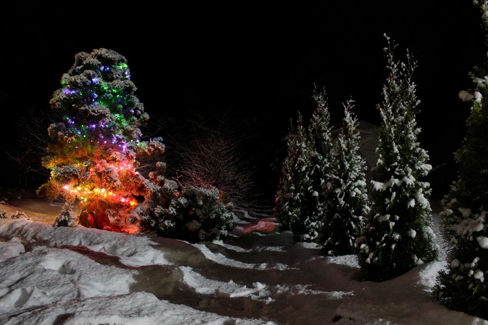 Photograph by Светлана Попкова