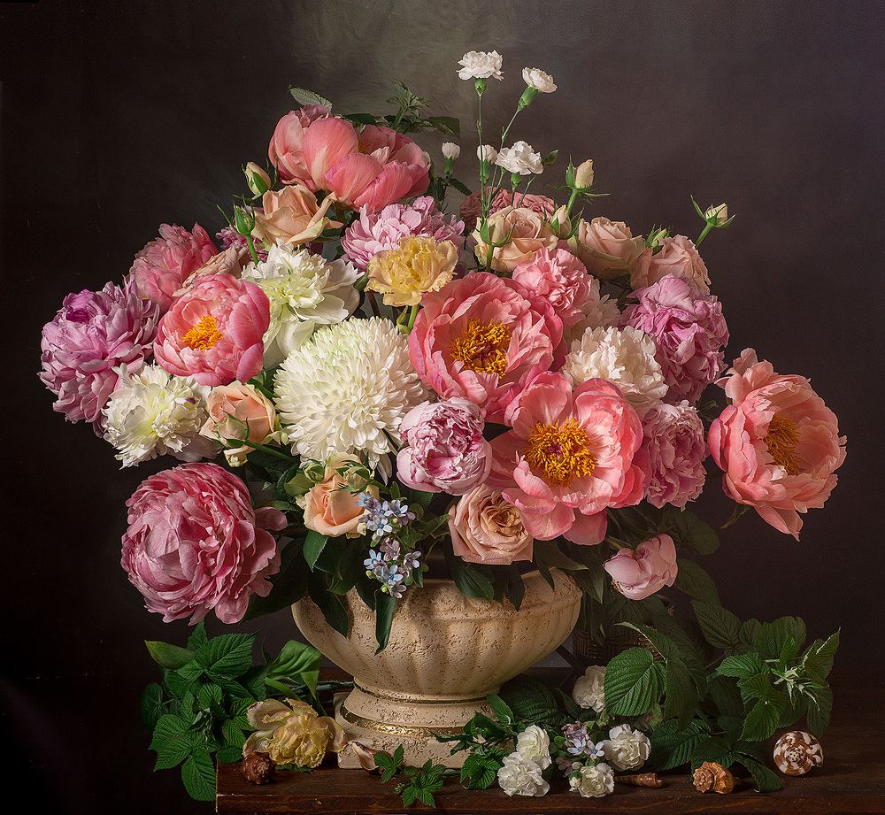 Фотография автора Алина Ланкина