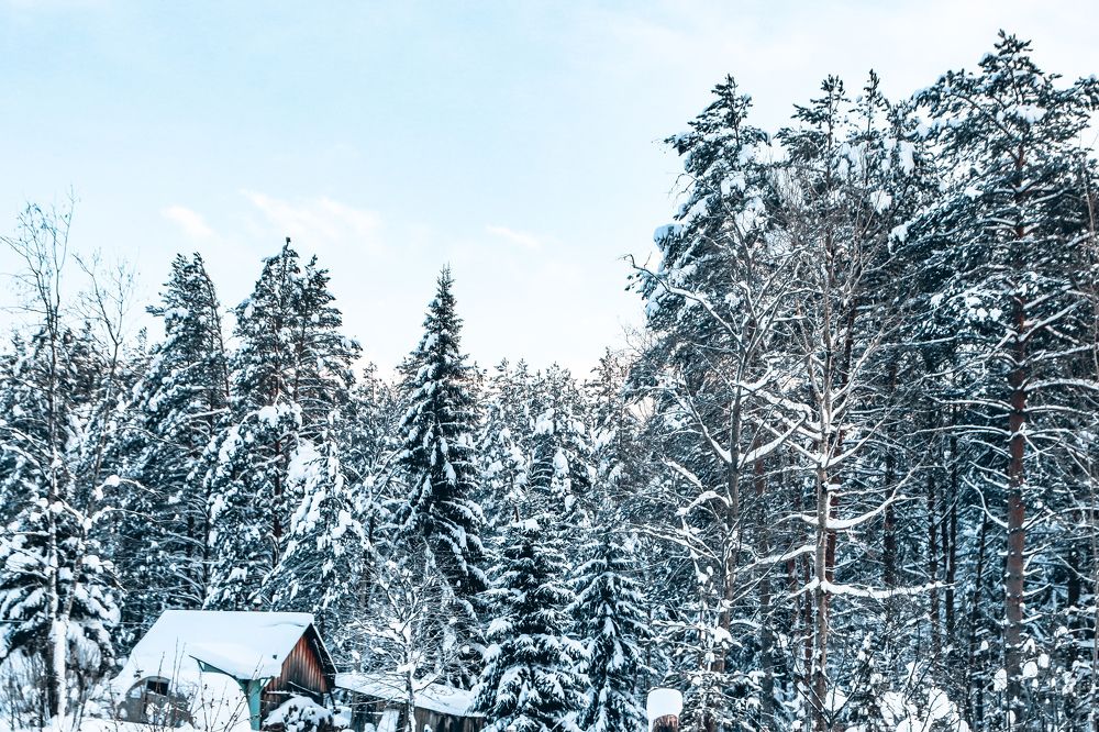 Photograph by Алексей Голубев