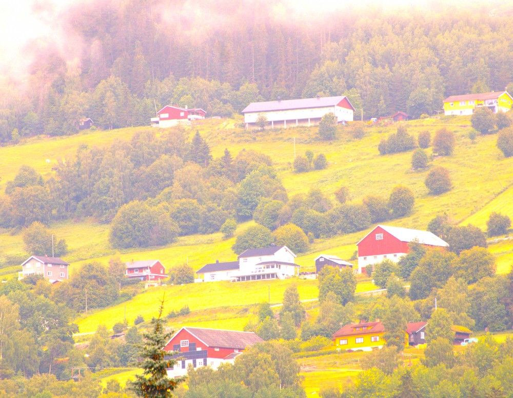 Photograph by Anna Baykova