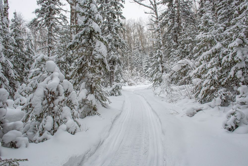 Photograph by Виктор Садырин