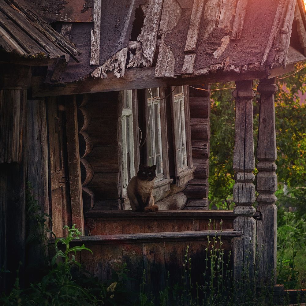 Photograph by Андрей Родионов