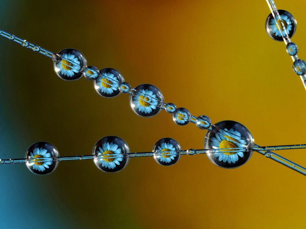 Макрокапли