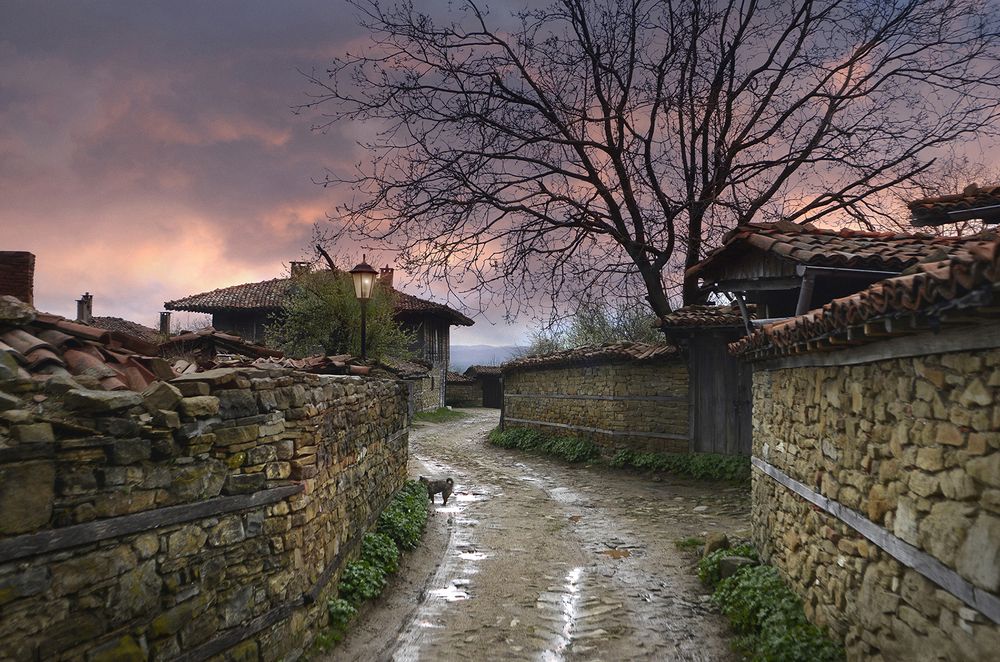 Деревенская улица после дождя