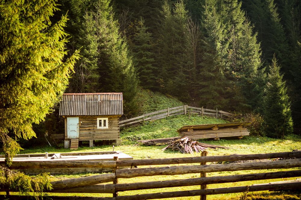 Photograph by Анастасия Донская