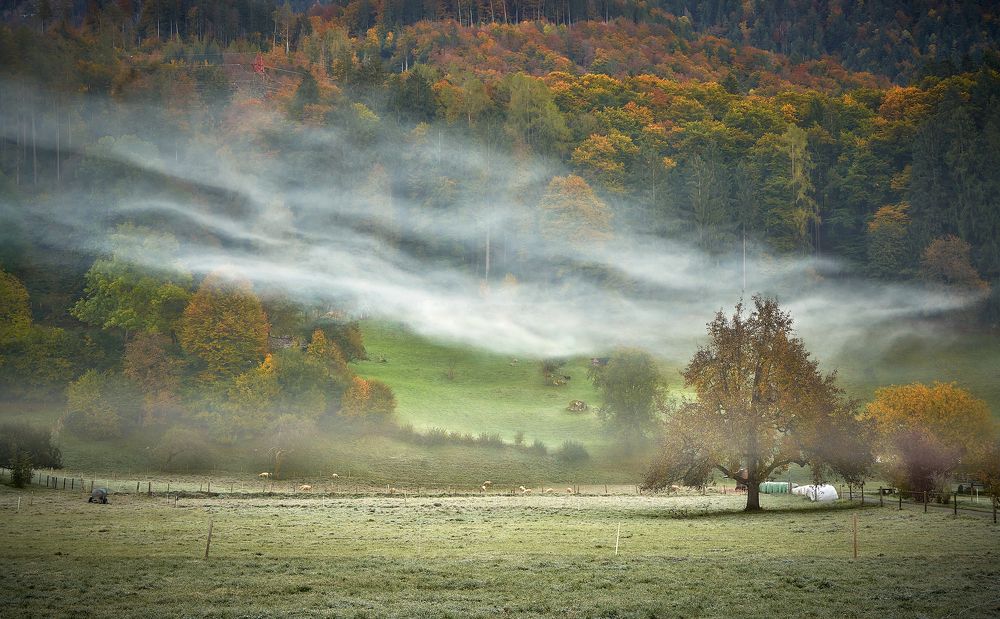 Photograph by Boris Bekelman