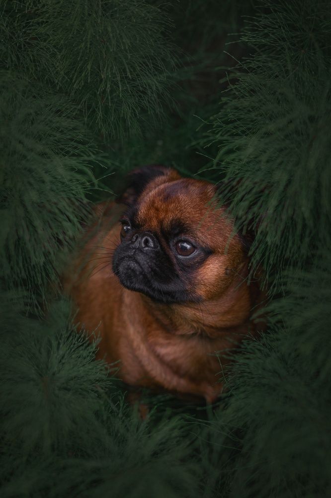 Photograph by Людмила Потапочкина