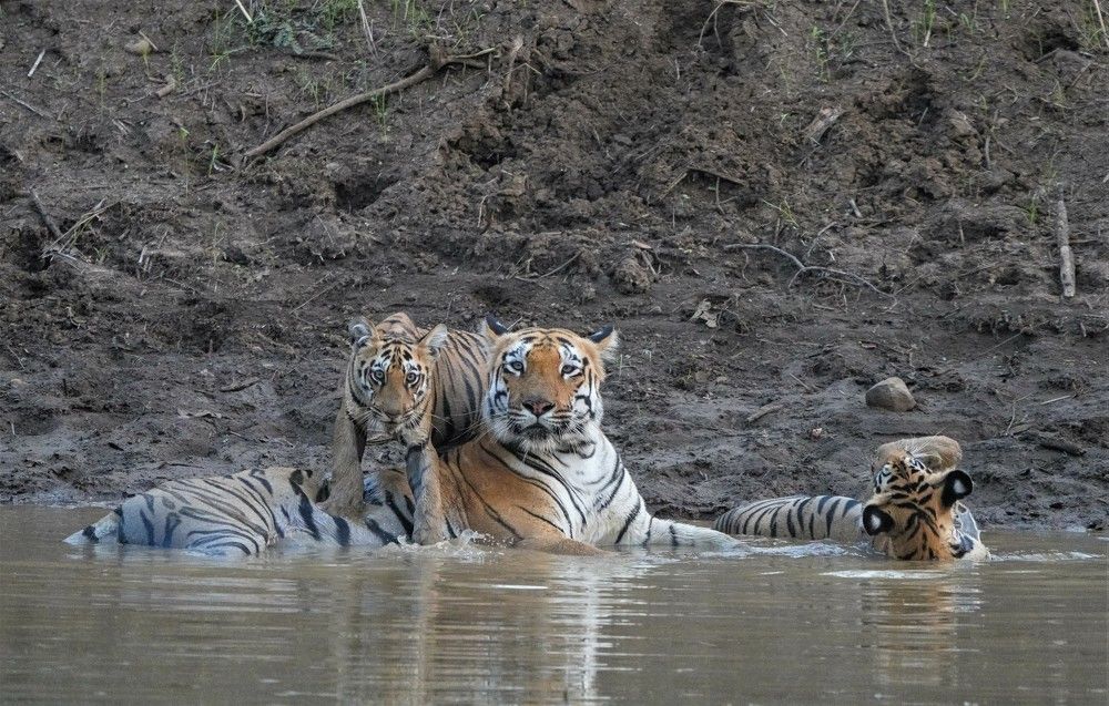 Photograph by Nirmalya Chakraborty