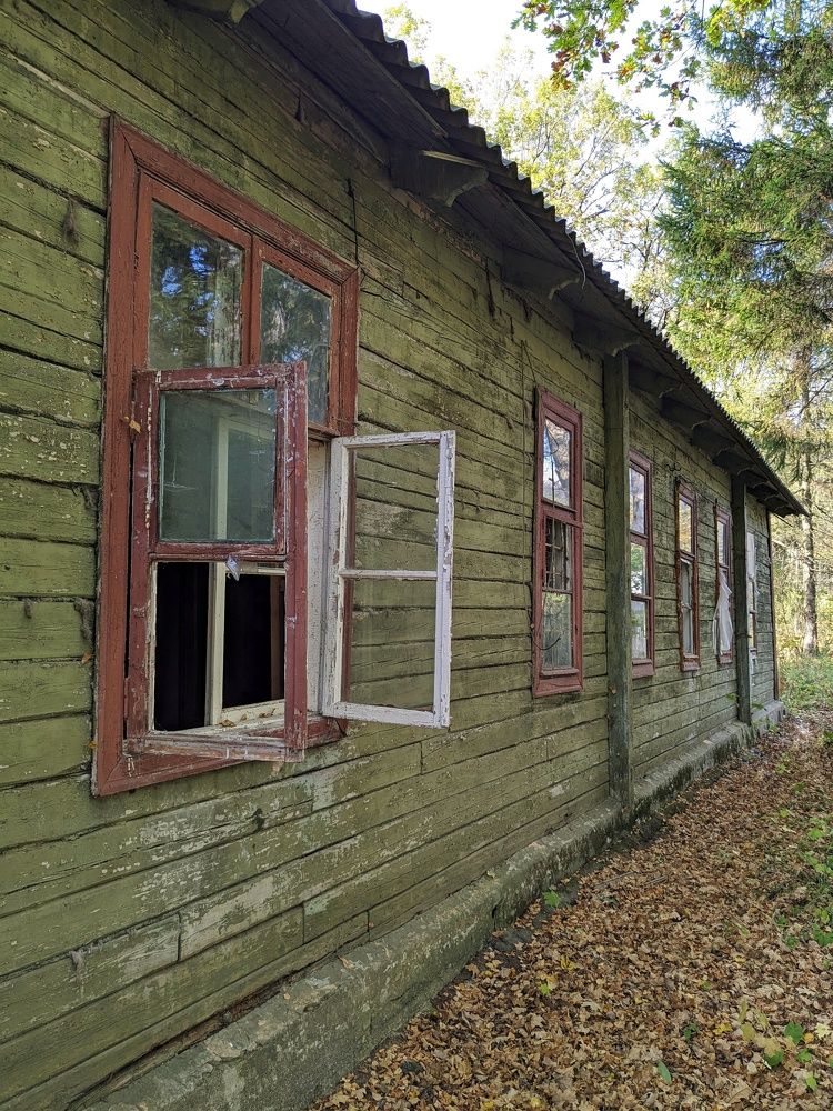 Photograph by Екатерина Чижевская