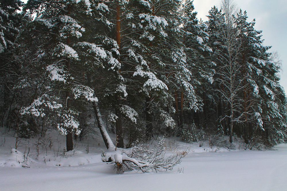 Photograph by Курочкина Диана