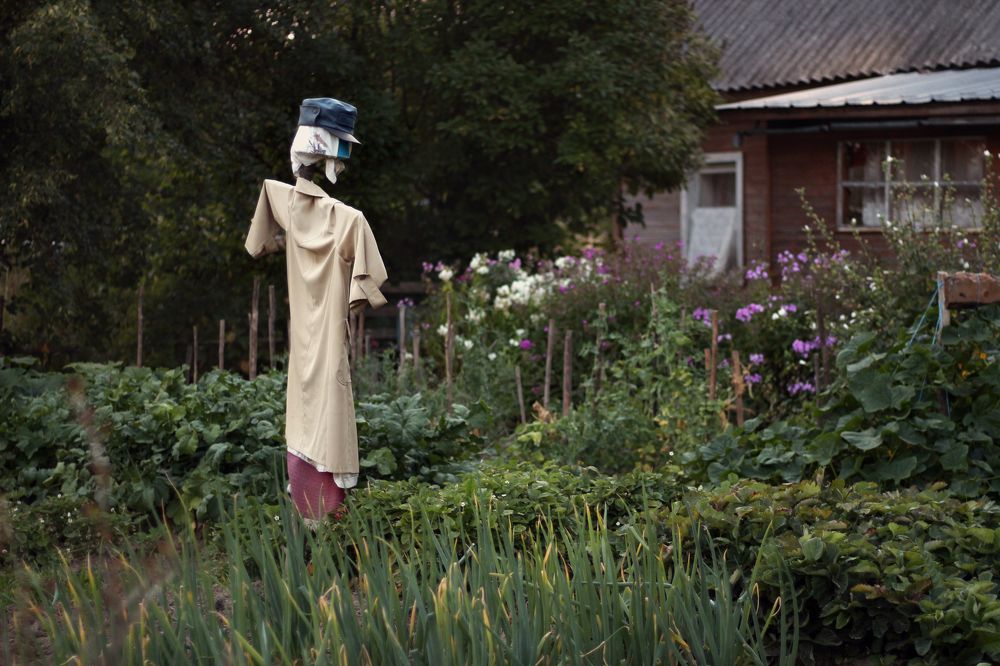 Photograph by Наталия Тарасова