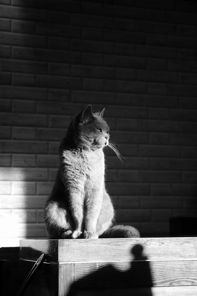 Фотография автора Наталья Боярина