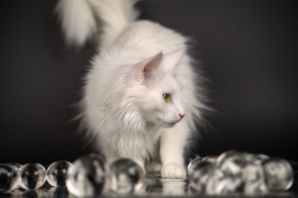 Photograph by Любовь Галушкина