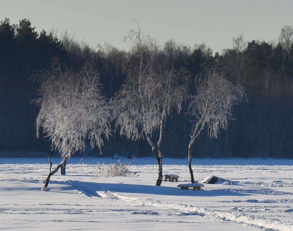Photograph by Ольга Струкалина