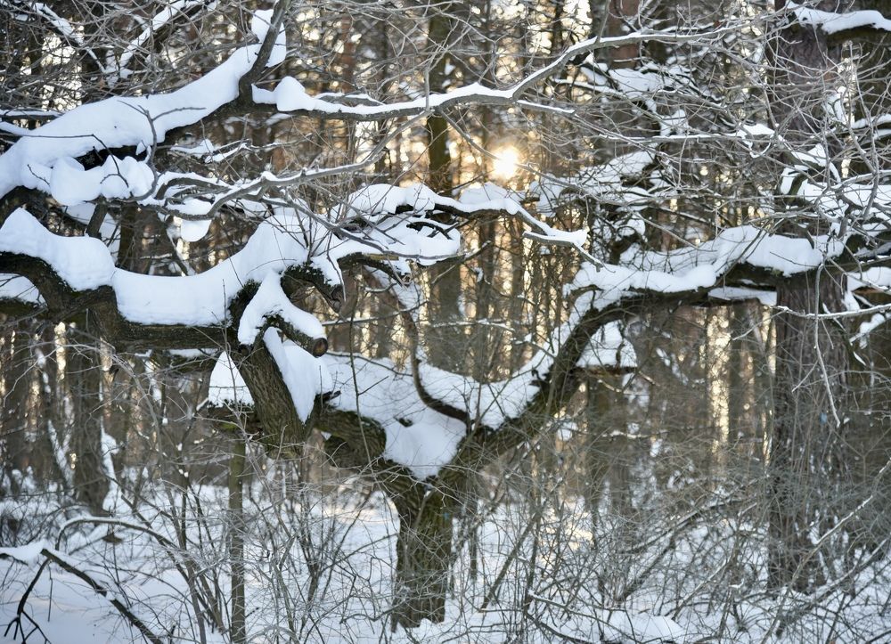 Photograph by Ольга Струкалина