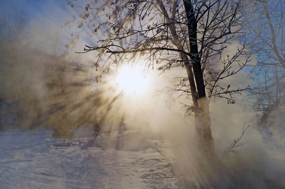 Photograph by Мишустина Татьяна