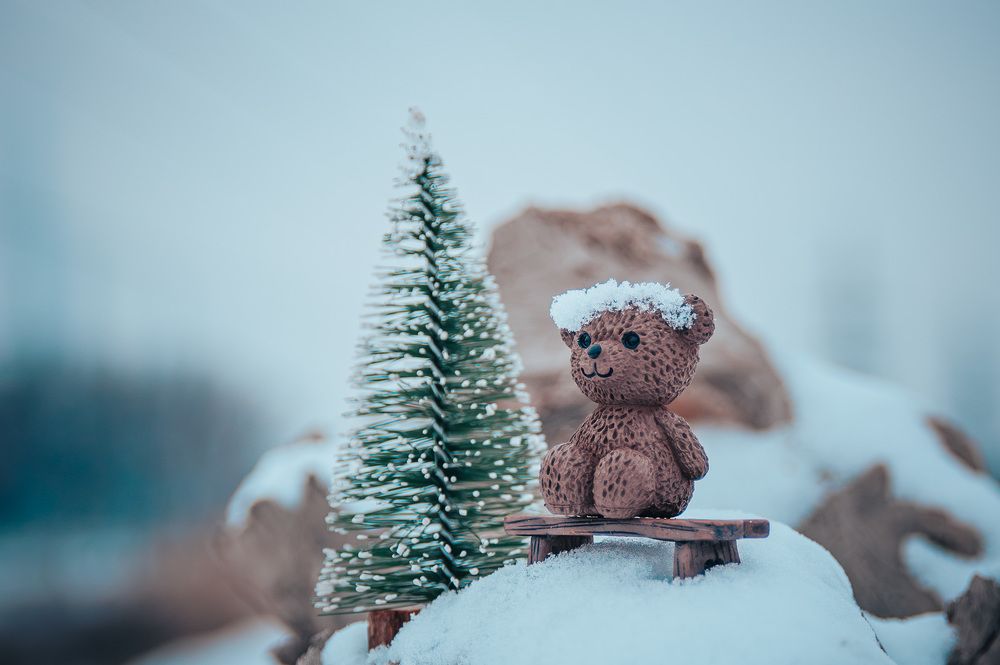 Фотография автора Сергей Рыженко