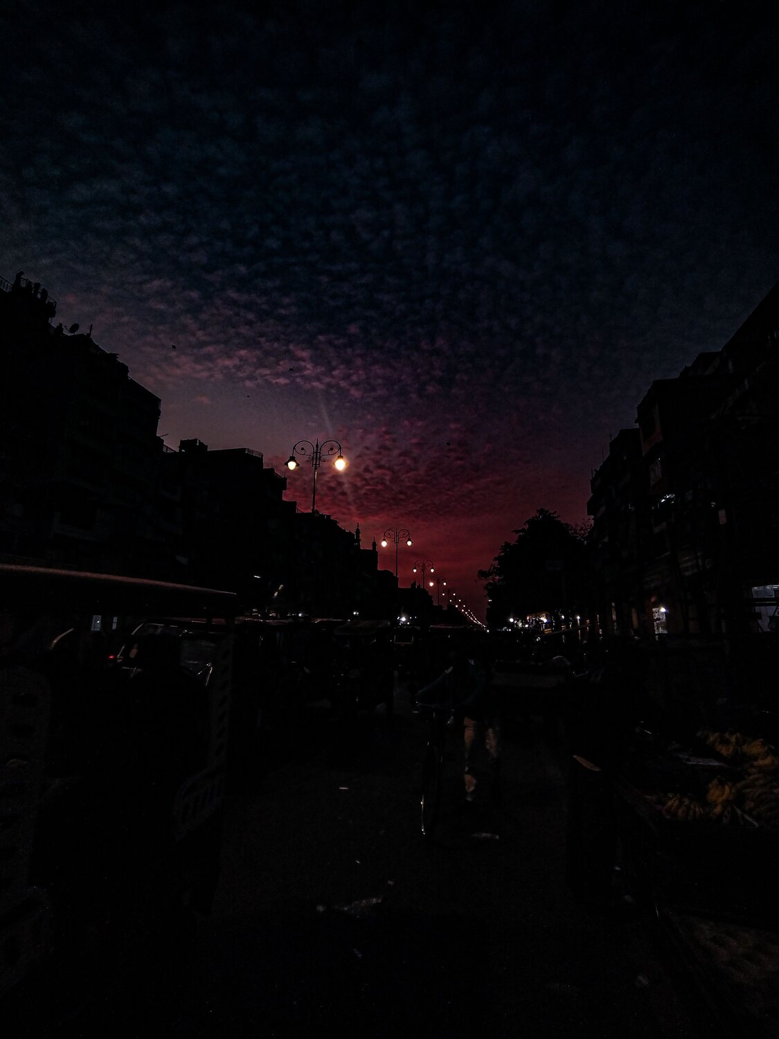 Photo #10171612