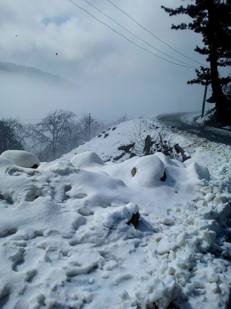 Photograph by Ncm Tech