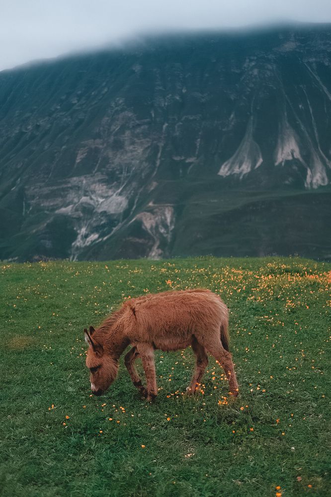 Photograph by Дарья Пысина