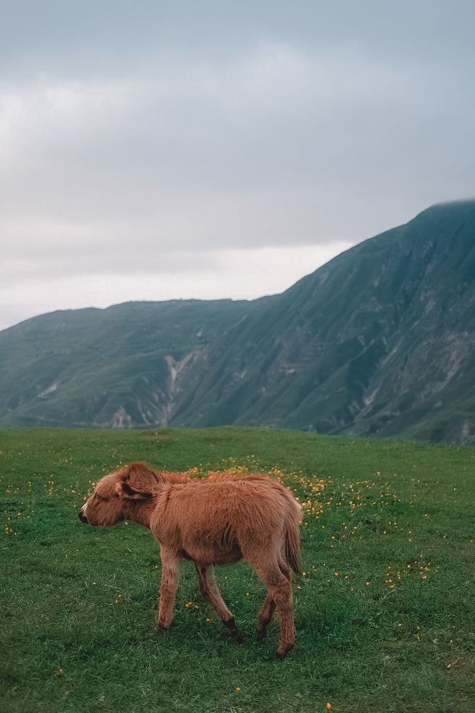 Photograph by Дарья Пысина