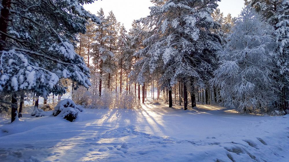 Photograph by Алексей Ильин